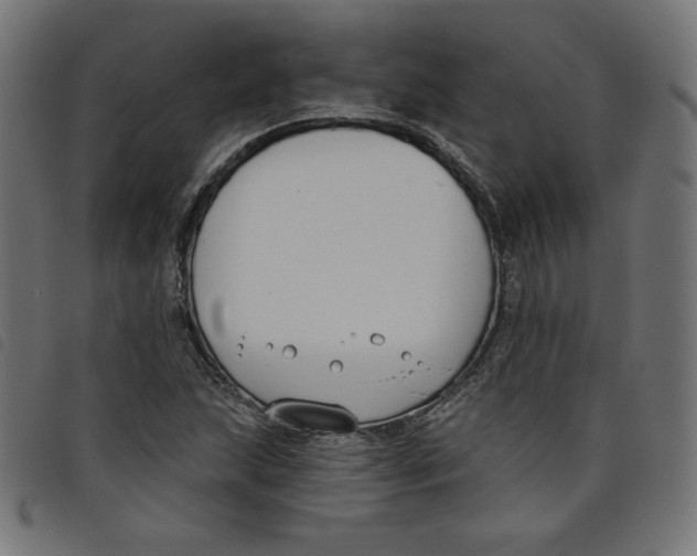 X0000098111215200804251420