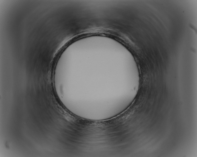 X0000098111216200804251420