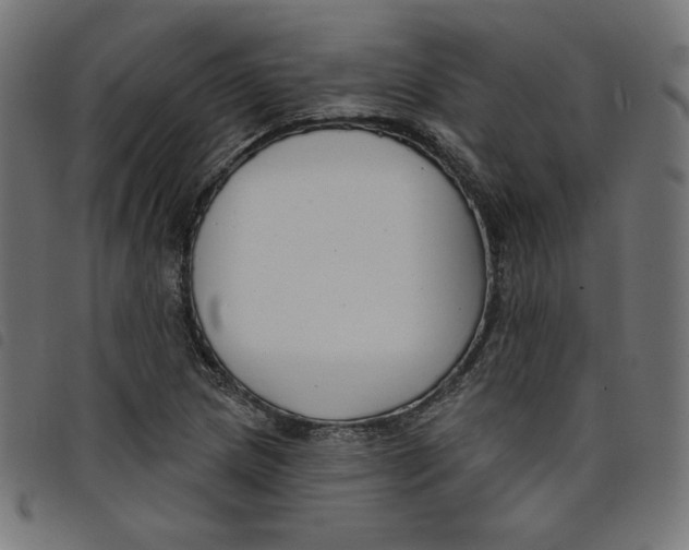 X0000098111217200804251420