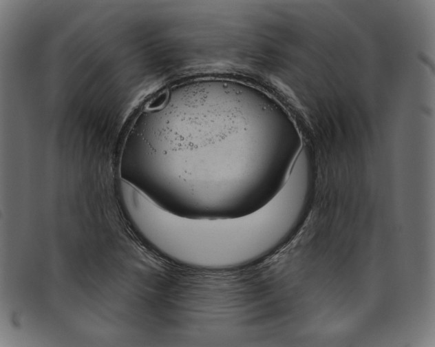 X0000098111218200804251420