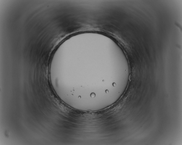 X0000098111220200804251420