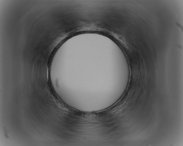 X0000098111221200804251420