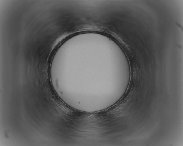 X0000098111222200804251420