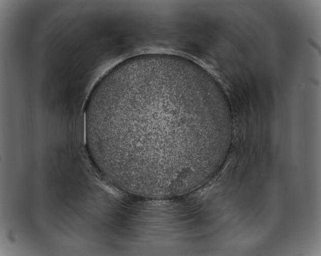 X0000098111223200804251420