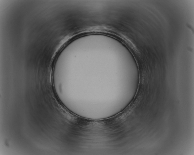 X0000098111224200804251420