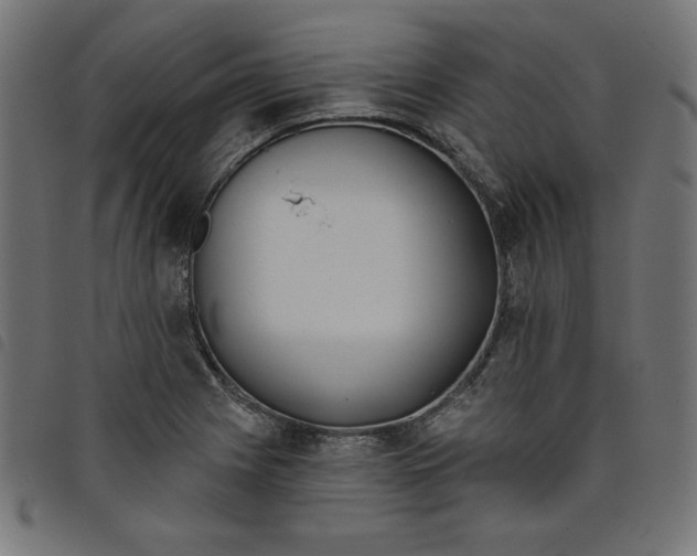 X0000098111225200804251420