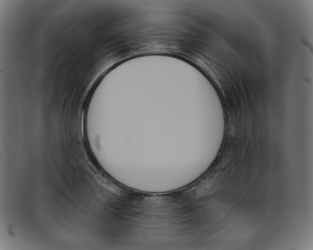 X0000098111227200804251420