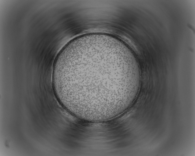 X0000098111228200804251420