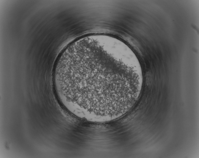 X0000098111229200804251420