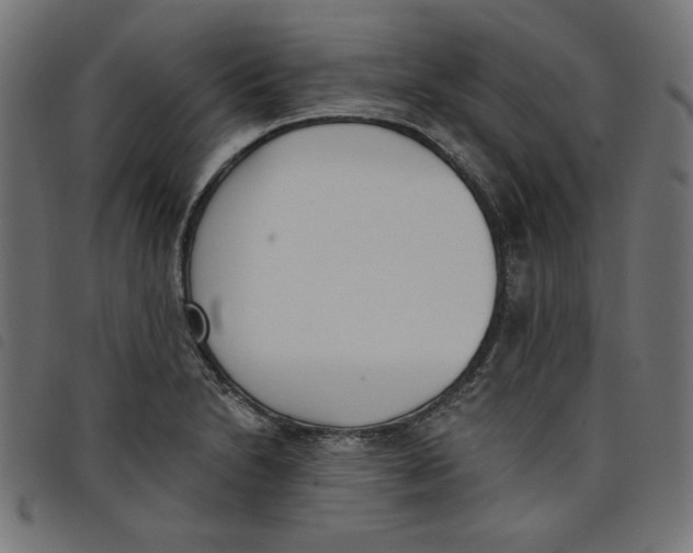 X0000098111230200804251420