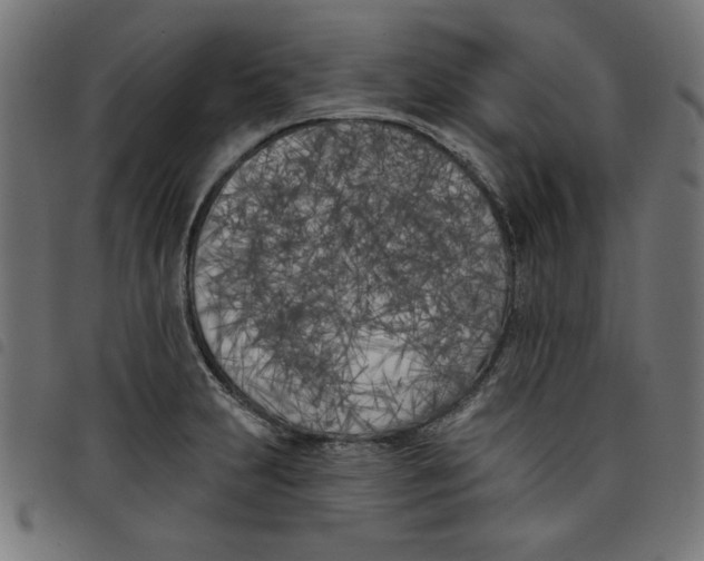 X0000098111231200804251420