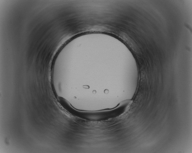 X0000098111232200804251420