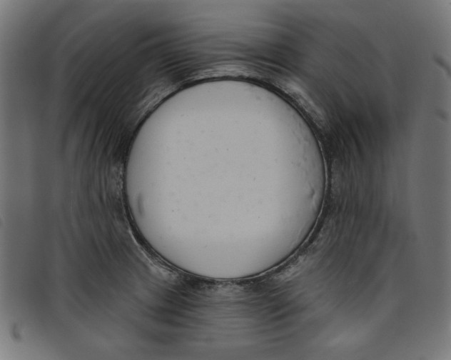 X0000098111233200804251420