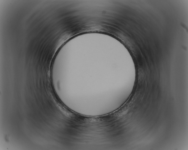 X0000098111234200804251420