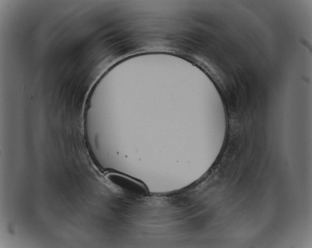 X0000098111236200804251420