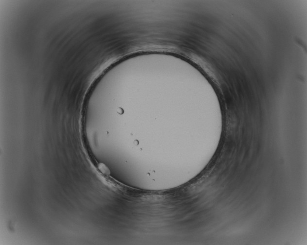 X0000098111237200804251420