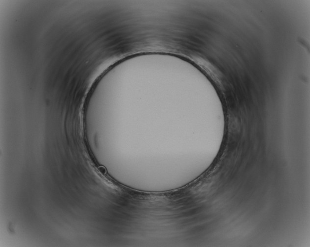 X0000098111238200804251420