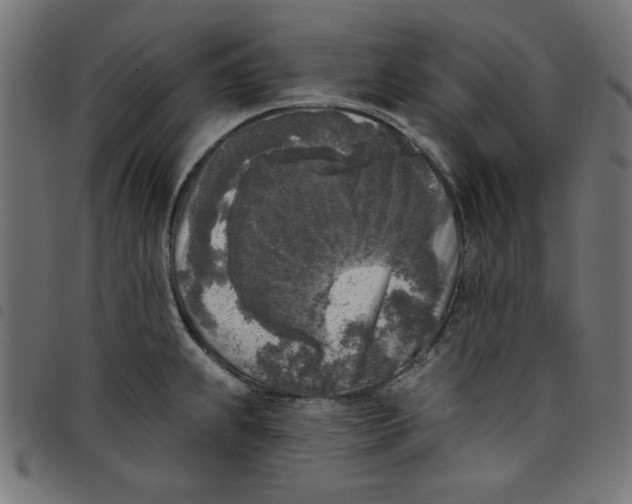 X0000098111239200804251420