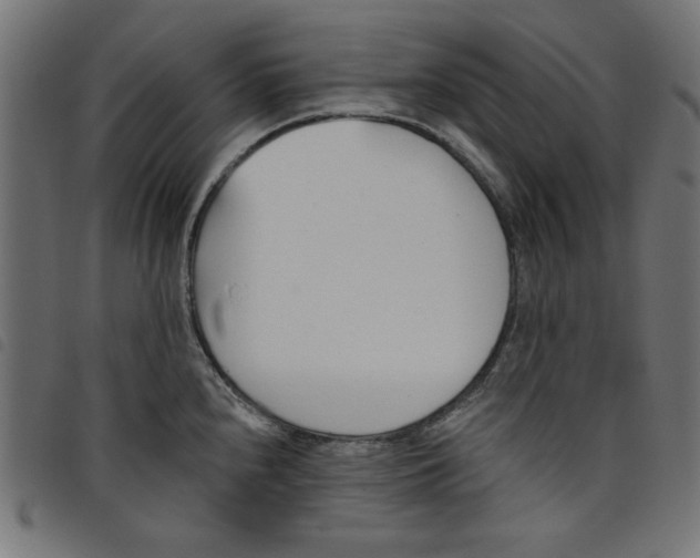 X0000098111240200804251420