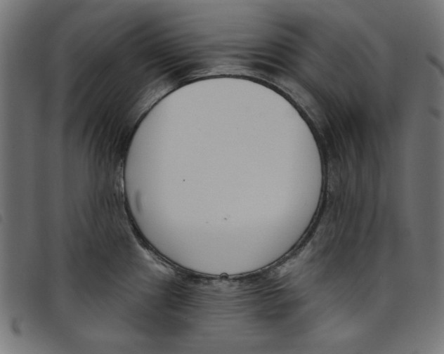 X0000098111241200804251420