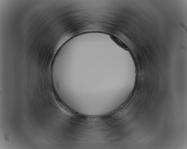 X0000098111242200804251420