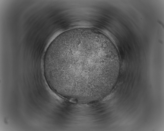 X0000098111243200804251420