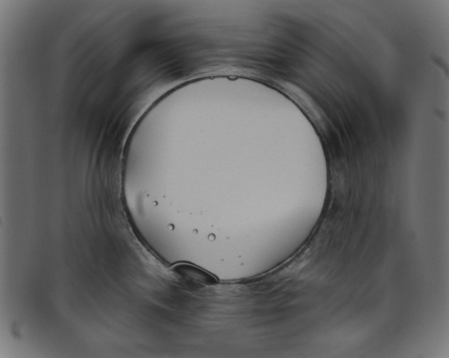 X0000098111244200804251420