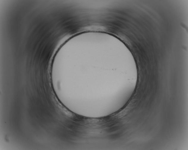 X0000098111248200804251420