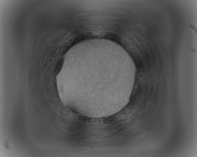 X0000098111249200804251420