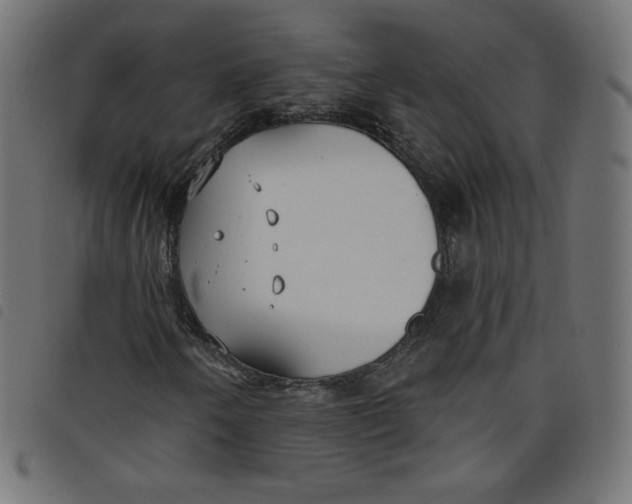 X0000098111250200804251420