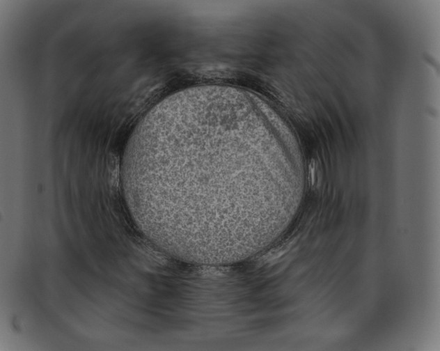 X0000098111251200804251420