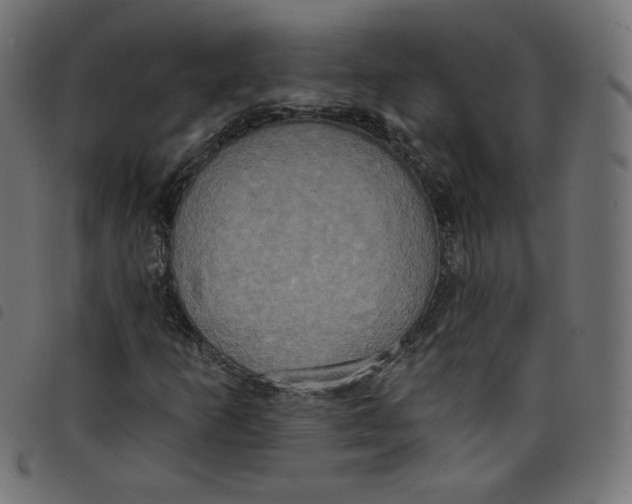 X0000098111253200804251420