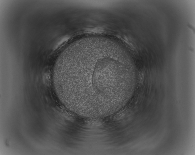 X0000098111254200804251420