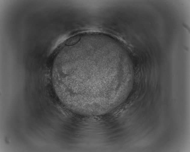 X0000098111255200804251420