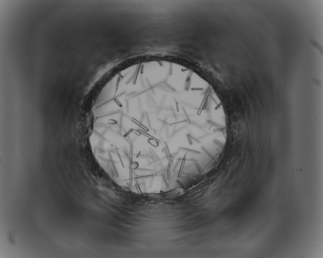 X0000098111256200804251420