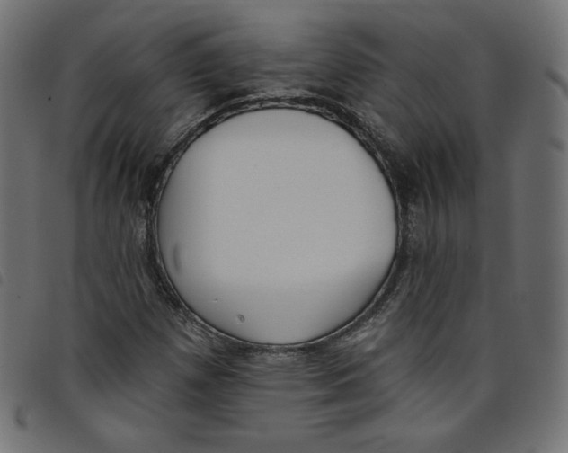 X0000098111257200804251420