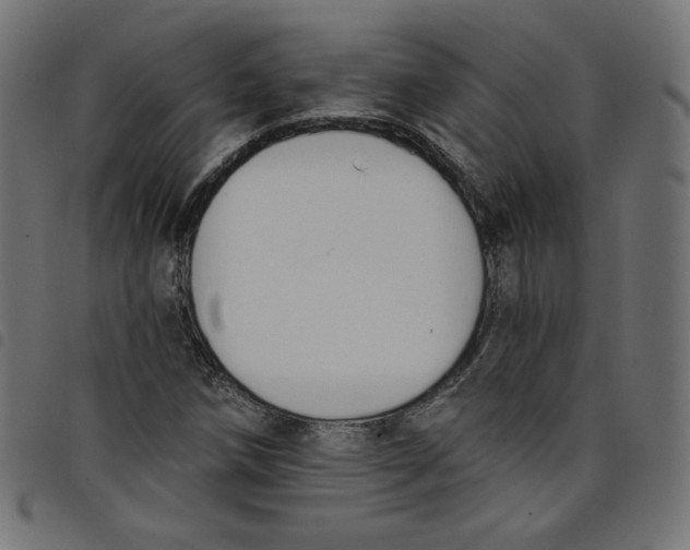 X0000098111258200804251420