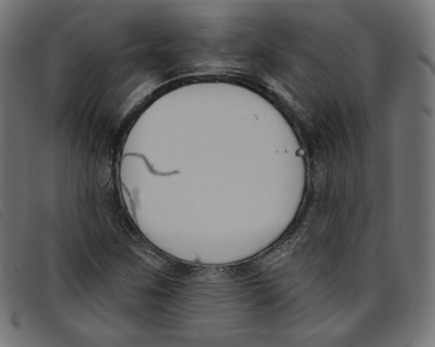 X0000098111259200804251420