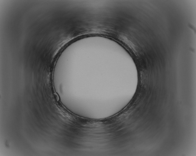 X0000098111260200804251420