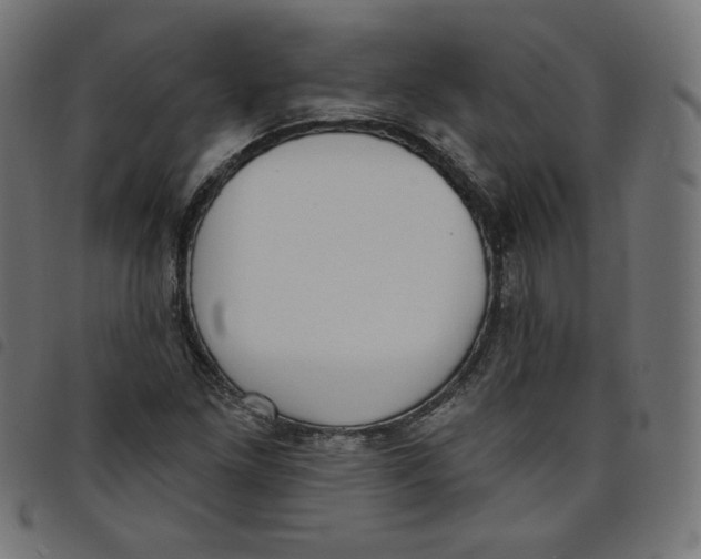 X0000098111261200804251420