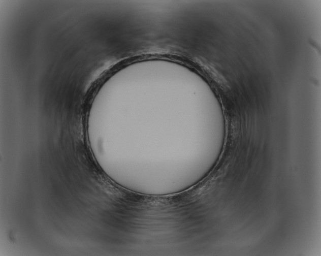 X0000098111262200804251420