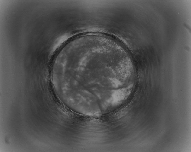 X0000098111263200804251420