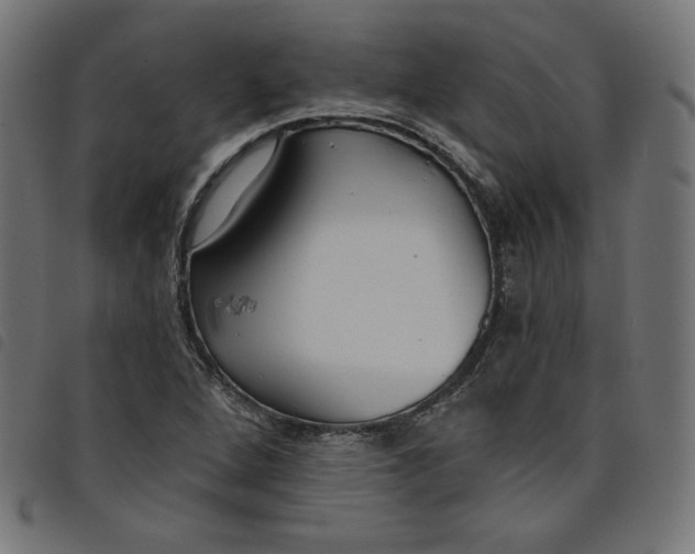 X0000098111264200804251419