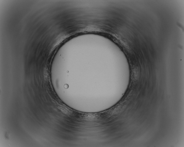 X0000098111266200804251419