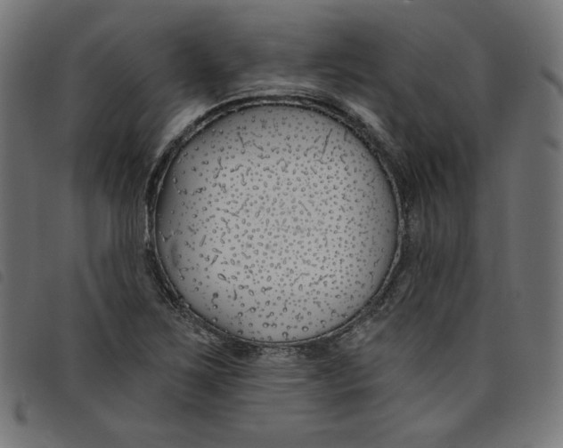 X0000098111267200804251419