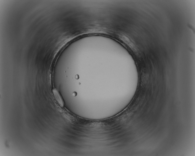 X0000098111268200804251419