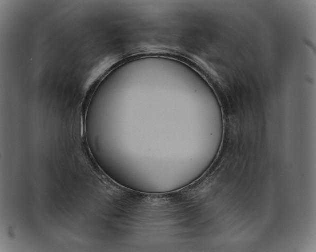 X0000098111269200804251419