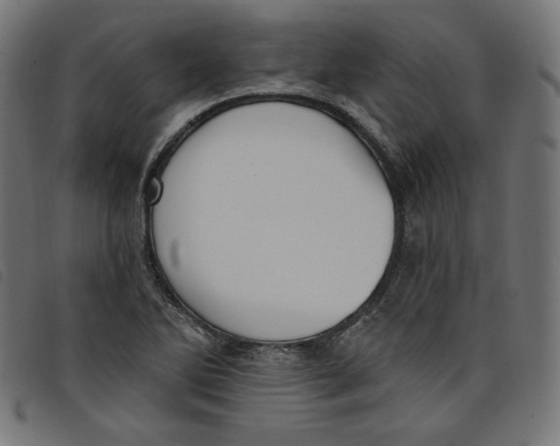 X0000098111270200804251419