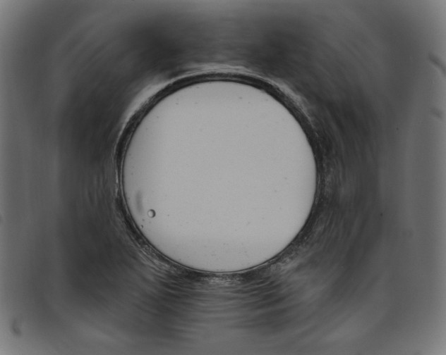 X0000098111271200804251419