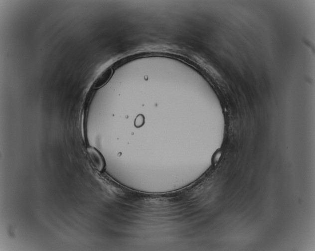 X0000098111272200804251419